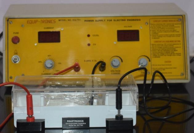 Lab Overview 4